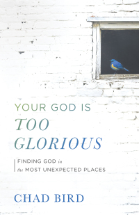 Cover image: Your God Is Too Glorious 9780801075667