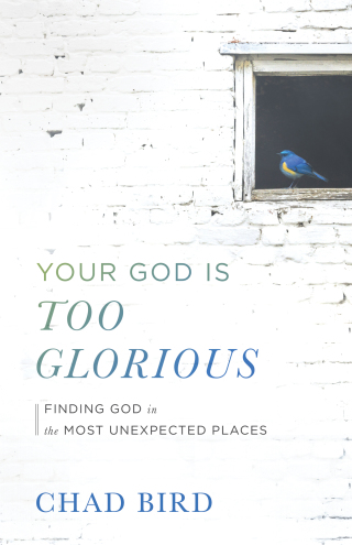 صورة الغلاف: Your God Is Too Glorious 9780801075667