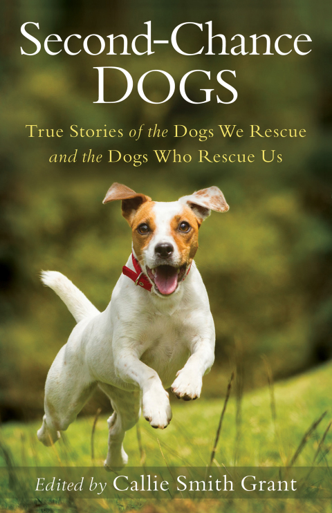Second-Chance Dogs: True Stories of the Dogs We Rescue and the Dogs Who Rescue Us - FULL INSTANT DOWNLOAD | PDF DOCX EPUB