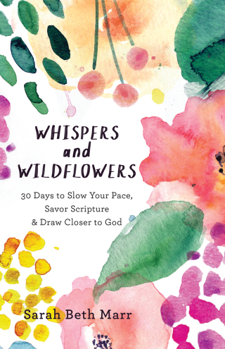 Omslagafbeelding: Whispers and Wildflowers 9780801073090