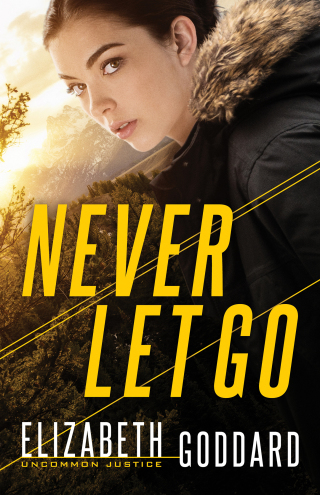 Imagen de portada: Never Let Go 9780800729844