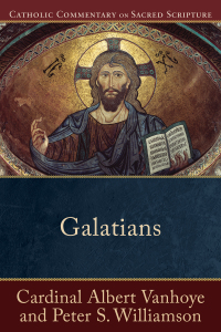 Omslagafbeelding: Galatians 9780801049729