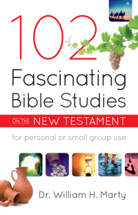 Cover image: 102 Fascinating Bible Studies on the New Testament 9780764232435