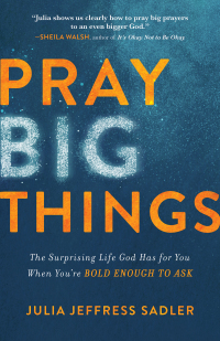 Cover image: Pray Big Things 9780801093364