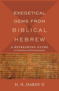 Imagen de portada: Exegetical Gems from Biblical Hebrew 9780801098765