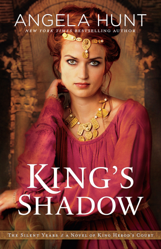 Imagen de portada: King's Shadow 9780764233364