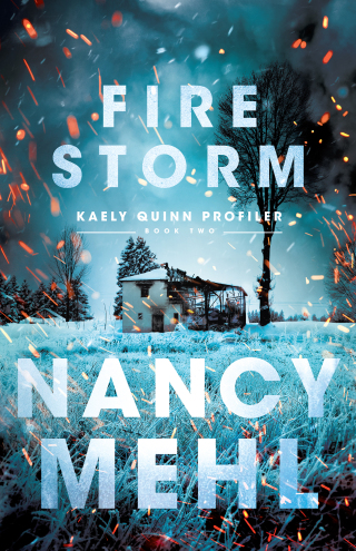 Imagen de portada: Fire Storm 9780764231858