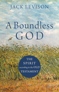 Cover image: A Boundless God 9781540961181