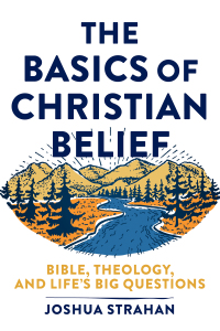 Imagen de portada: The Basics of Christian Belief 9781540962010
