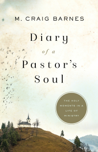 Omslagafbeelding: Diary of a Pastor's Soul 9781587434440