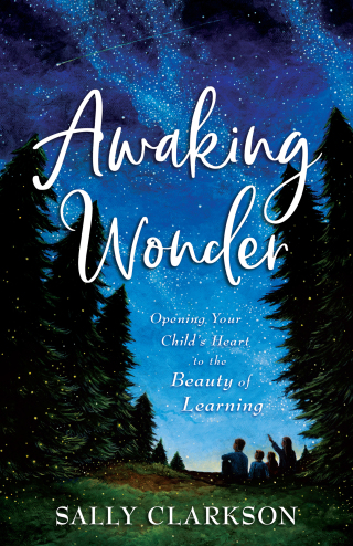 Cover image: Awaking Wonder 9780764235887