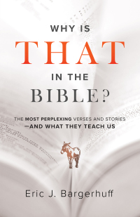 Cover image: Why Is That in the Bible? 9780764233999