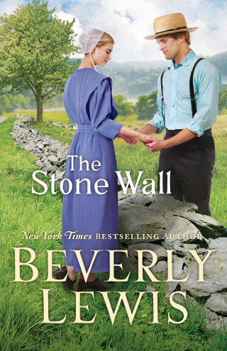 Imagen de portada: The Stone Wall 9780764233081