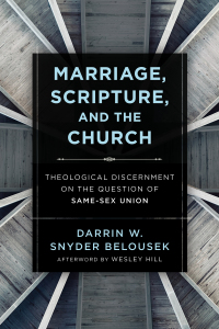 Imagen de portada: Marriage, Scripture, and the Church 9781540961839