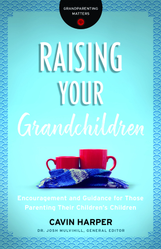 表紙画像: Raising Your Grandchildren 9780764231339