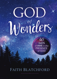 Cover image: God of Wonders 9780800761783