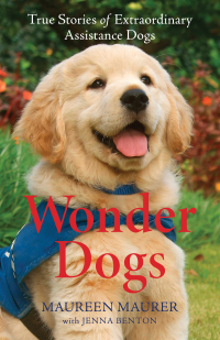 Cover image: Wonder Dogs 9780800739379