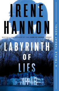 Cover image: Labyrinth of Lies 9780800736187