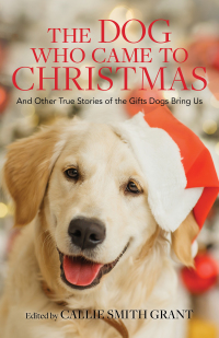 Omslagafbeelding: The Dog Who Came to Christmas 9780800737924