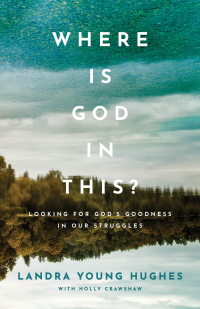 Imagen de portada: Where Is God in This? 9780801094842