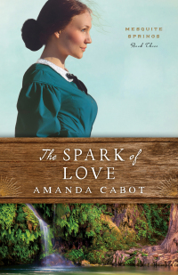 Cover image: The Spark of Love 9780800735371