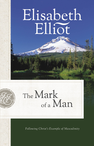 Omslagafbeelding: The Mark of a Man 9780800731328