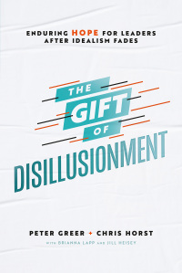 Imagen de portada: The Gift of Disillusionment 9780764238260