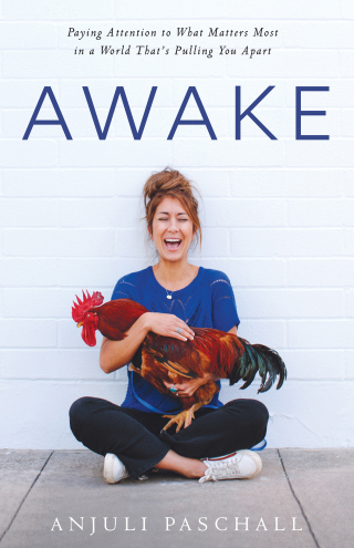 Imagen de portada: Awake 9780764238529