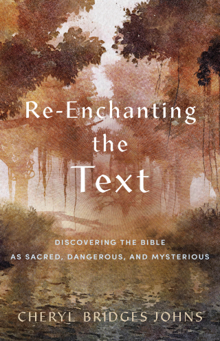 Cover image: Re-enchanting the Text 9781540965134