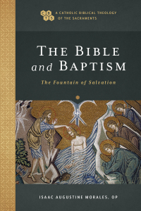 Cover image: The Bible and Baptism 9781540961785