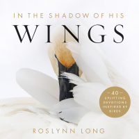 Cover image: In the Shadow of His Wings 9780764239489