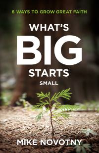 Titelbild: What's Big Starts Small 9780764240034