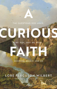 Cover image: A Curious Faith 9781587435690