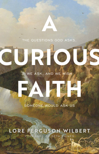 Cover image: A Curious Faith 9781587435690