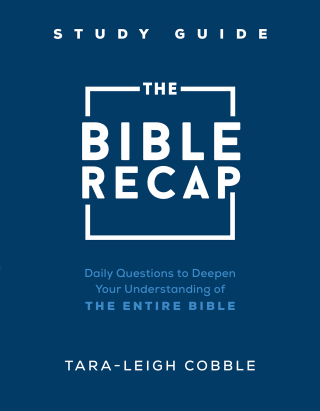Cover image: The Bible Recap Study Guide 9780764240324
