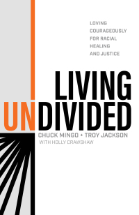 Cover image: Living Undivided 9781540902283