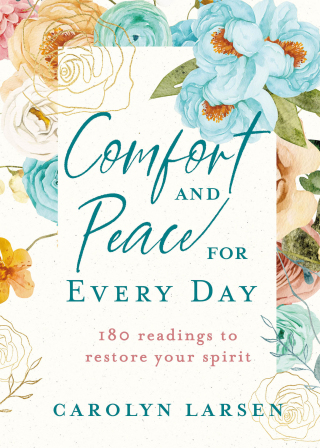 Imagen de portada: Comfort and Peace for Every Day 9780800742539