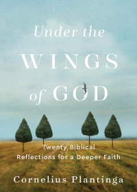 Cover image: Under the Wings of God 9781540966179