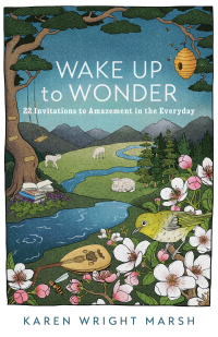 Cover image: Wake Up to Wonder 9781587435805