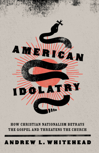 Omslagafbeelding: American Idolatry 9781587435768