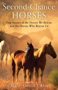 Cover image: Second-Chance Horses 9780800737948