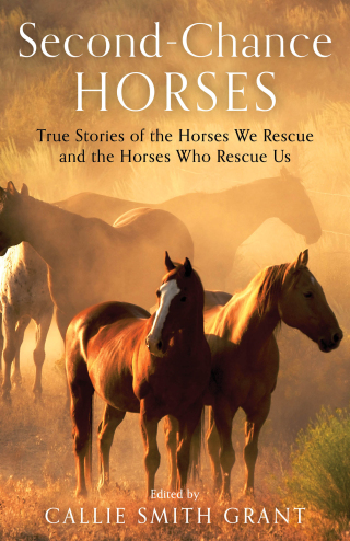 Imagen de portada: Second-Chance Horses 9780800737948