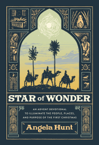 Cover image: Star of Wonder 9780764241765