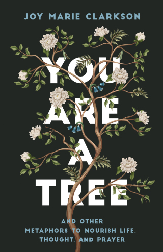 Imagen de portada: You Are a Tree 9780764238253