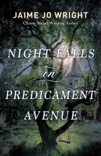 صورة الغلاف: Night Falls on Predicament Avenue 9780764241451