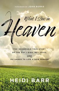 Cover image: What I Saw in Heaven 9781540904126