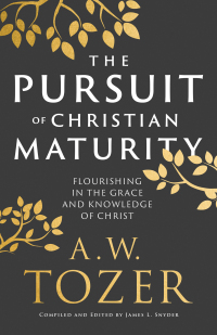 Titelbild: The Pursuit of Christian Maturity 9780764240300