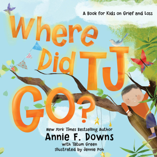 Cover image: Where Did TJ Go? 9780800738785