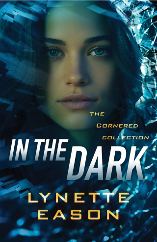 Cover image: In the Dark 9781493446803