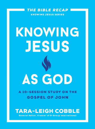 Cover image: Knowing Jesus as God 9780764243592